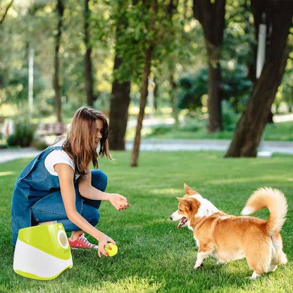 Rechargeable automatic tennis ball launcher with 3 pet-safe balls for interactive play