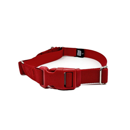 Martingale Dog Collar – Gentle, Safe and Stylish Dog Training Collar