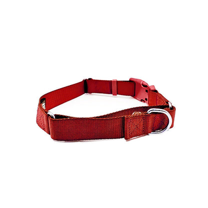 Martingale Dog Collar – Gentle, Safe and Stylish Dog Training Collar