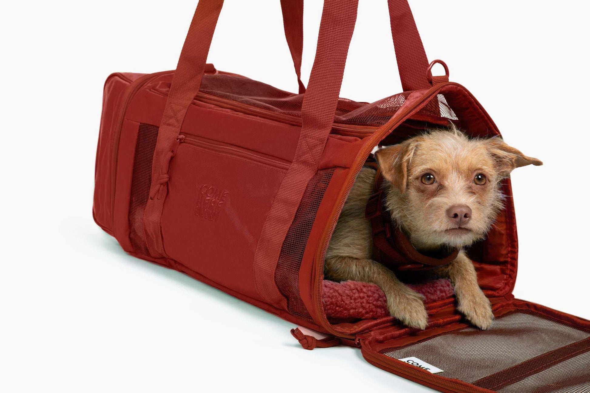 Travel Buddy - Pet Carrier: Airline-Approved Carrier Spacious Design