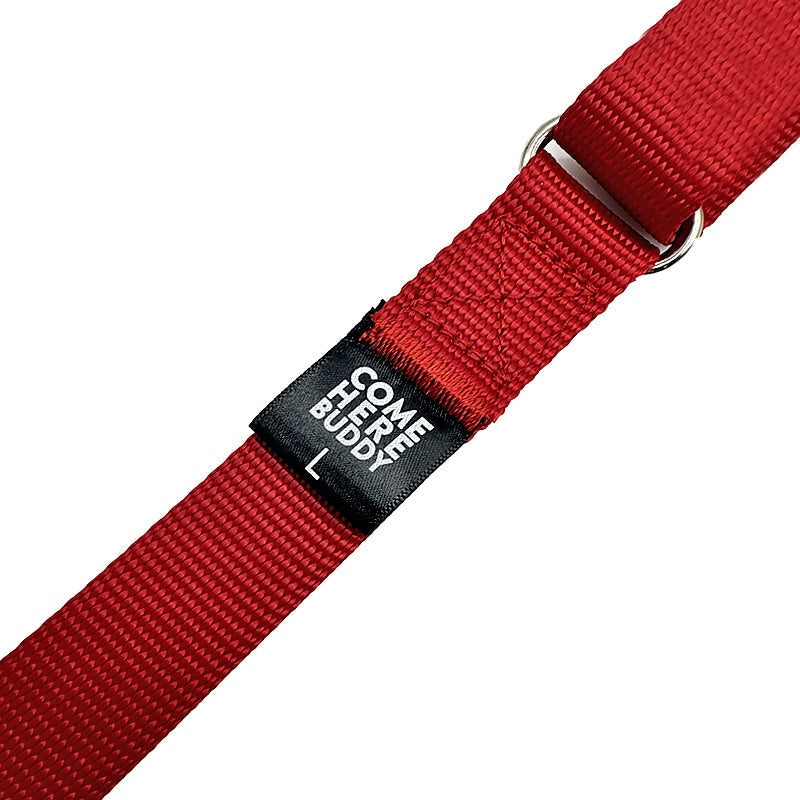 Martingale Dog Collar – Gentle, Safe and Stylish Dog Training Collar