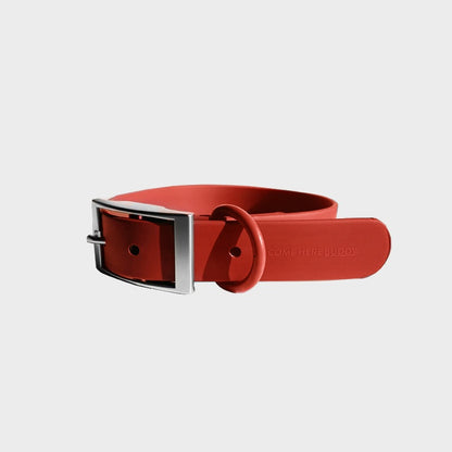 Everyday Collar - Durable, Comfortable Pet Collar for All Weather Use