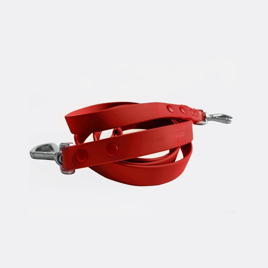 Dog Leash - Durable Waterproof Nylon Dog Leash for Easy Walks
