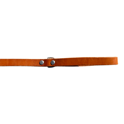 Handmade leather dog leash in camel color with nickel-plated brass hardware, 3/4 inch wide and beveled edges for comfort.