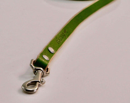 Handmade leather dog leash in green with nickel-plated brass swivel snap and beveled edges