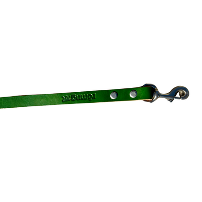 green handmade leather dog leash with metal clasp and rivets