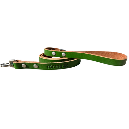 Handmade green leather dog leash with silver hardware and beveled edges for comfort
