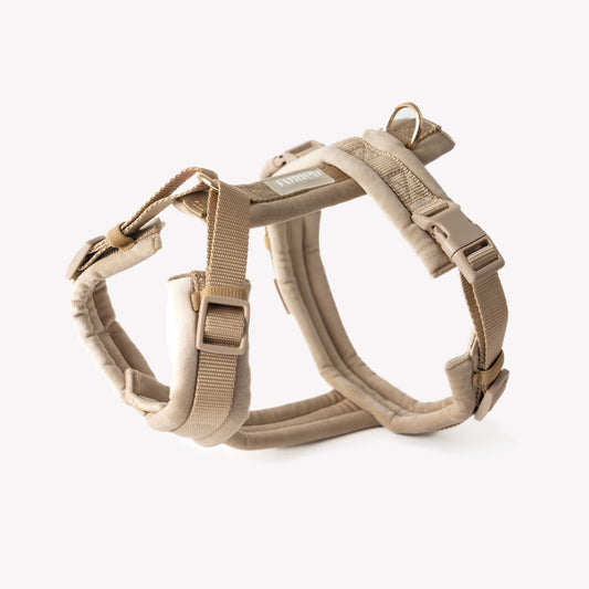 Sand velvet dog harness with gold hardware and padded lining