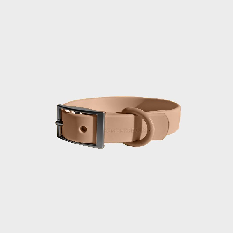 Everyday Collar - Durable, Comfortable Pet Collar for All Weather Use