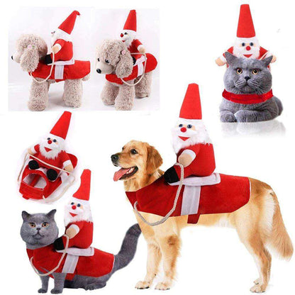 Large and medium dogs wearing cloth Santa Claus Christmas costumes