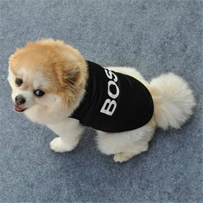Small fluffy dog wearing black Security Clothing for Dogs sleeveless t-shirt vest with bold white boss print