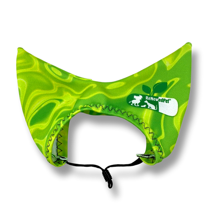 Green Lycra pets shower cap with ear covers by ReNewedPet for cats and dogs