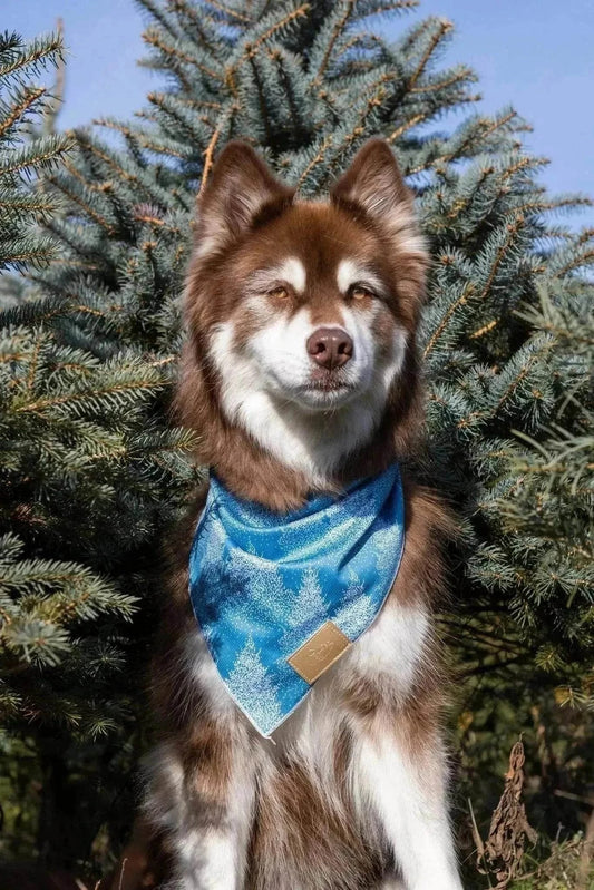 Siberian spruce green dog bandana with matching vegan leather keychain