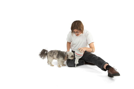 Six Nose Work Dog Toy with squeaky pockets for treats and tug play