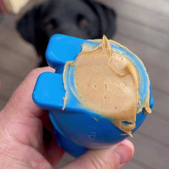 Blue Bunny Nylon Chew Toy with peanut butter for aggressive chewers and a black dog in the background