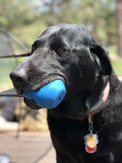 Double Trouble Durable Rubber Chew Toy - Tough Toy, Dispenser for Dogs