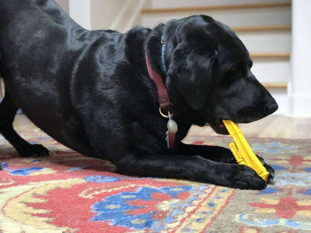 Pipe Wrench Nylon Dog Toy for Aggressive Chewers - USA Made | SodaPup