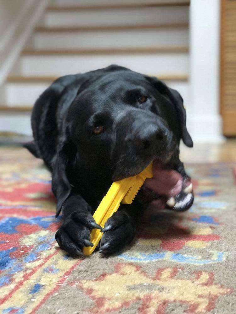 Pipe Wrench Nylon Dog Toy for Aggressive Chewers - USA Made | SodaPup