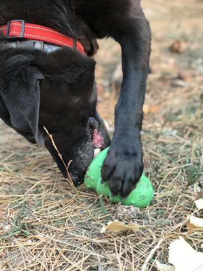 Dog chewing green Christmas Tree Toy durable rubber treat dispenser outdoors