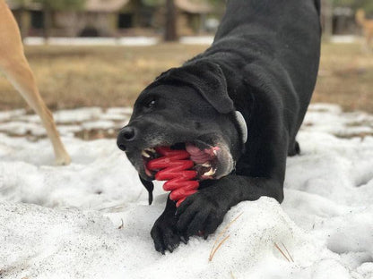 Christmas Tree Nylon Dog Chew Toy - Heavy Duty, USA Made FDA Compliant