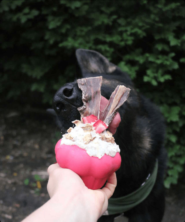 Cupcake eDispenser Durable Rubber Chew Toy & Treat Dispenser for Dogs