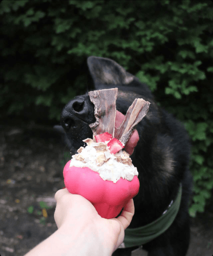 Cupcake eDispenser Durable Rubber Chew Toy & Treat Dispenser for Dogs