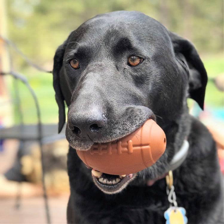 Black dog holding durable rubber Football eDispenser chew toy treat dispenser in mouth