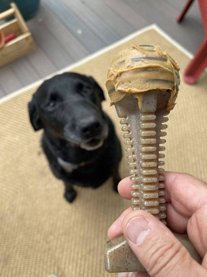 Honey Bone Dental Tower nylon chew toy held in hand with black dog in background