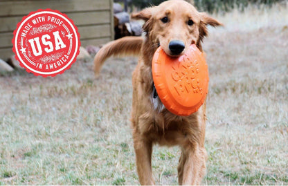 Golden retriever playing with orange Bottle Top Flyer durable rubber frisbee made in USA