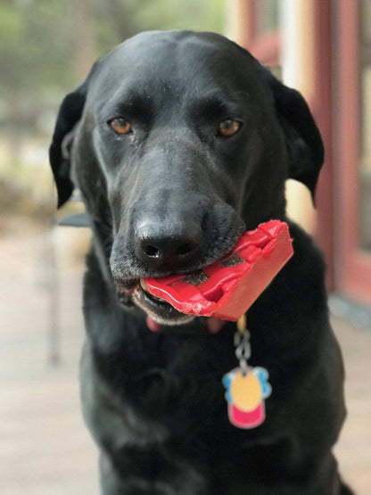 Black dog chewing red Cherry Pie Nylon Dog Chew durable nylon dog toy for aggressive chewers