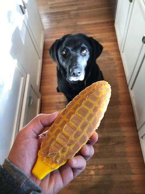 Corn on the Cob Nylon Dog Toy - USA Made Heavy Chewer Durable Chew Toy