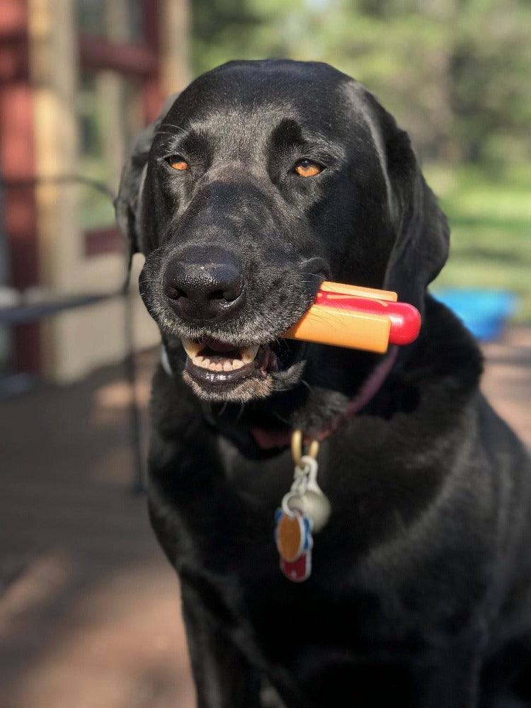 Hot Dog Nylon Dog Toy: Indestructible Chew for Aggressive Dogs in USA