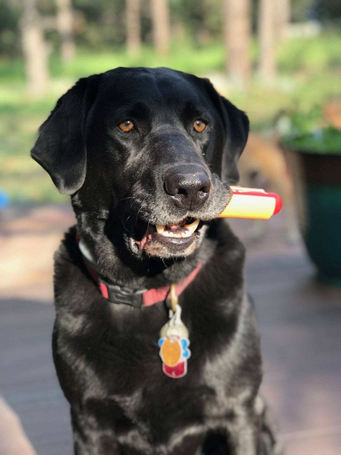 Hot Dog Nylon Dog Toy: Indestructible Chew for Aggressive Dogs in USA