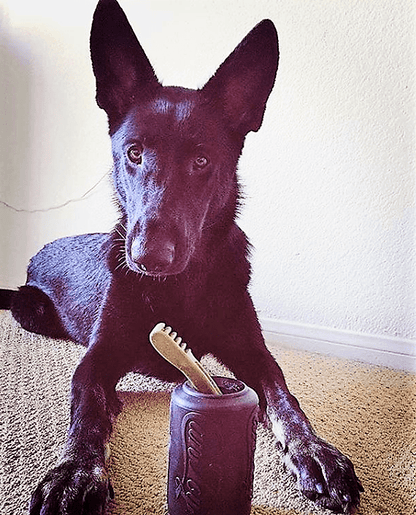 Black dog playing with SP Magnum Can Toy ultra durable rubber chew toy and treat dispenser