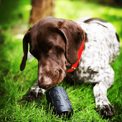 Dog chewing on SP Magnum Can Toy durable rubber treat dispenser on grass outdoors