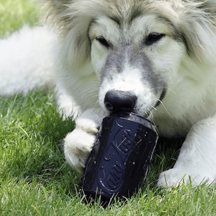 Dog chewing on a durable SP Magnum Can Toy treat dispenser on grass for power chewers