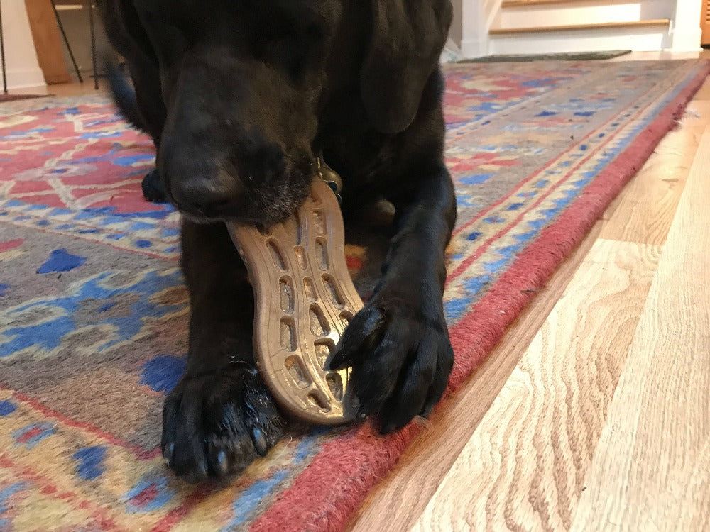 Peanut Nylon Dog Chew Toy – Safe, Ultra-Durable for Aggressive Chewers