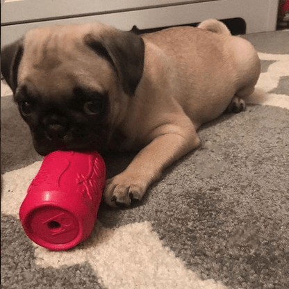 Puppy chewing on red durable rubber Puppy Can Toy treat dispenser for teething pups