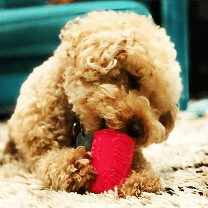 Puppy chewing on a red durable rubber Puppy Can Toy treat dispenser on a carpet