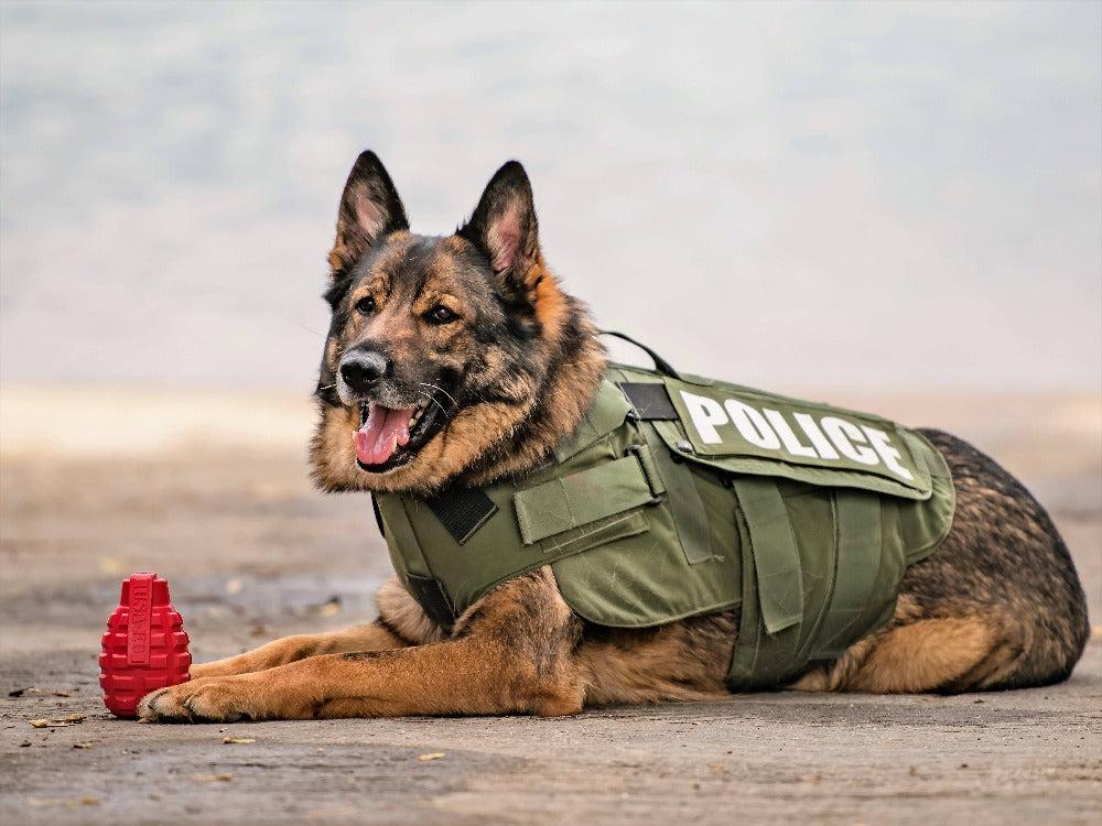 Grenade shaped red and blue durable dog chew toy and treat dispenser next to police dog in tactical vest