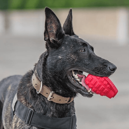 Black dog chewing red and blue grenade shaped eDispenser durable dog chew toy and treat dispenser