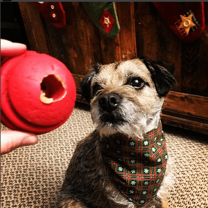 USA-K9 Stars and Stripes durable red rubber chew ball for large aggressive chewers