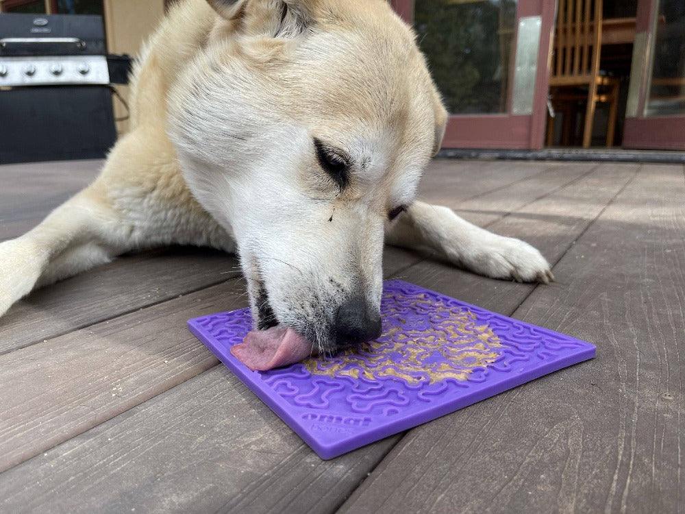 Purple Bones eMat lick mat for dogs with textured bone design for anxiety relief and mental stimulation