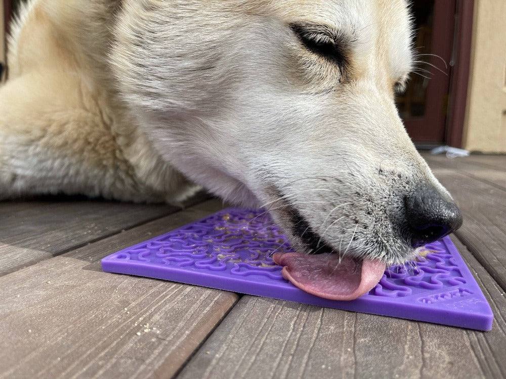 Purple Bones eMat dog lick mat with playful bone texture for enrichment and anxiety relief
