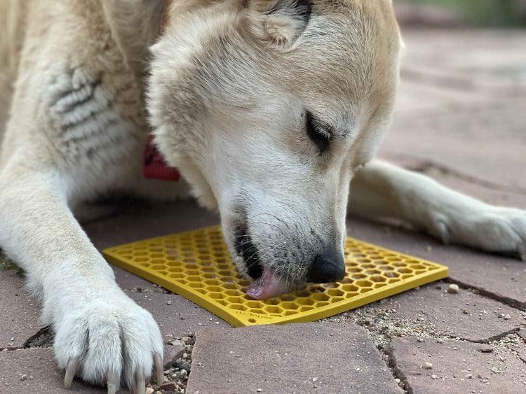Dog licking yellow Honeycomb eMat enrichment lick mat with hexagonal textured surface for anxiety relief and slow feeding