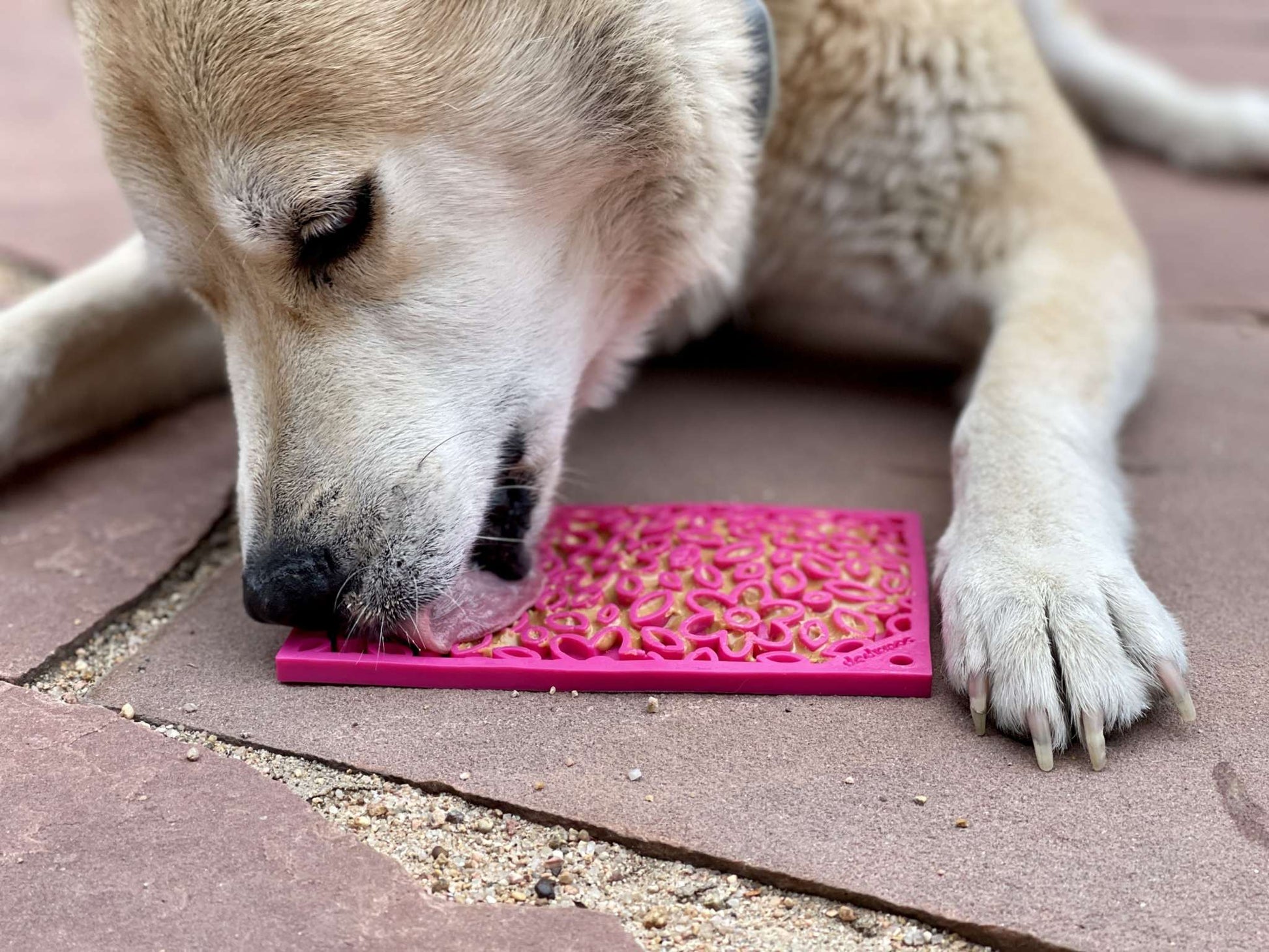 Flower Power eMat - Enrichment Lick Mat for Dogs & Cats | USA Made