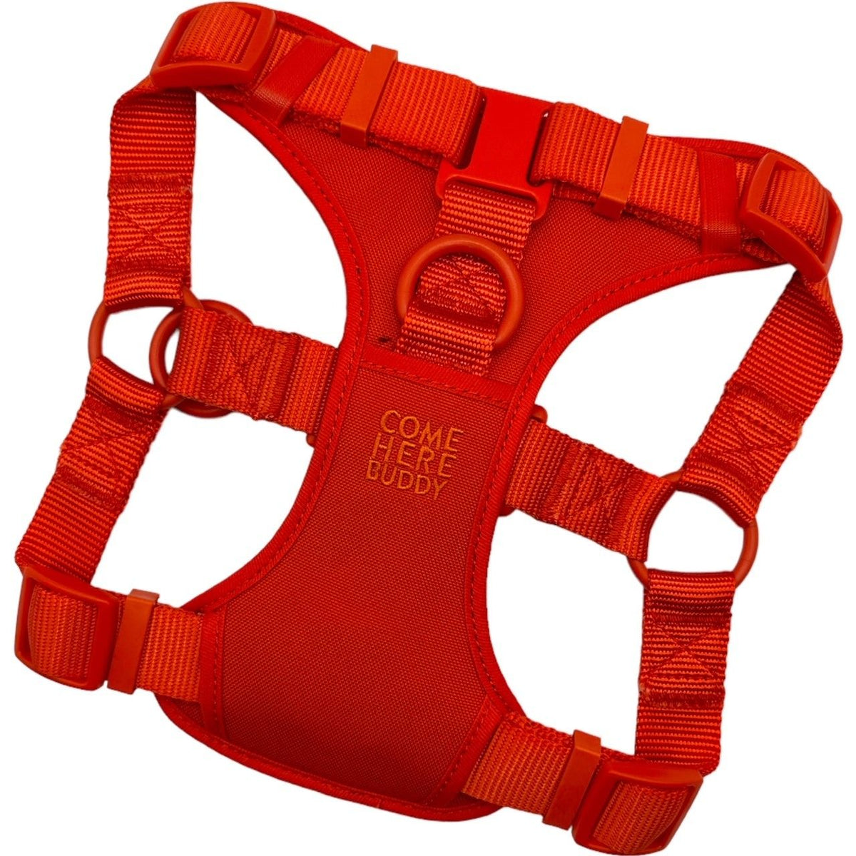 Come Here Buddy padded step-in dog harness with adjustable straps and D-rings