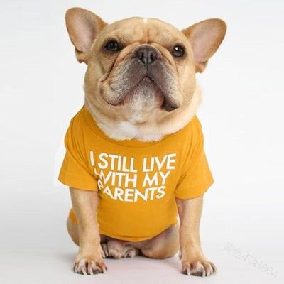 Pet wearing I Still Live With My Parents T-Shirt in black