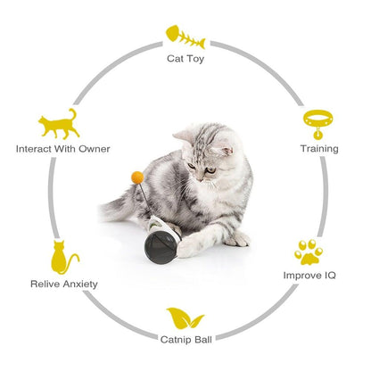 Swing Toys for Cats Kitten Interactive Balance Car Cat Chasing Toy With Catnip Funny Pet Products Indoor Cats Chaser Toys with Feather Catnip Ball Balanced Exercise Wheel Toy for Cats Chasing Hunting Playing