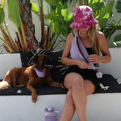Compact foldable pet food and water bowl for travel with dog and owner outdoors
